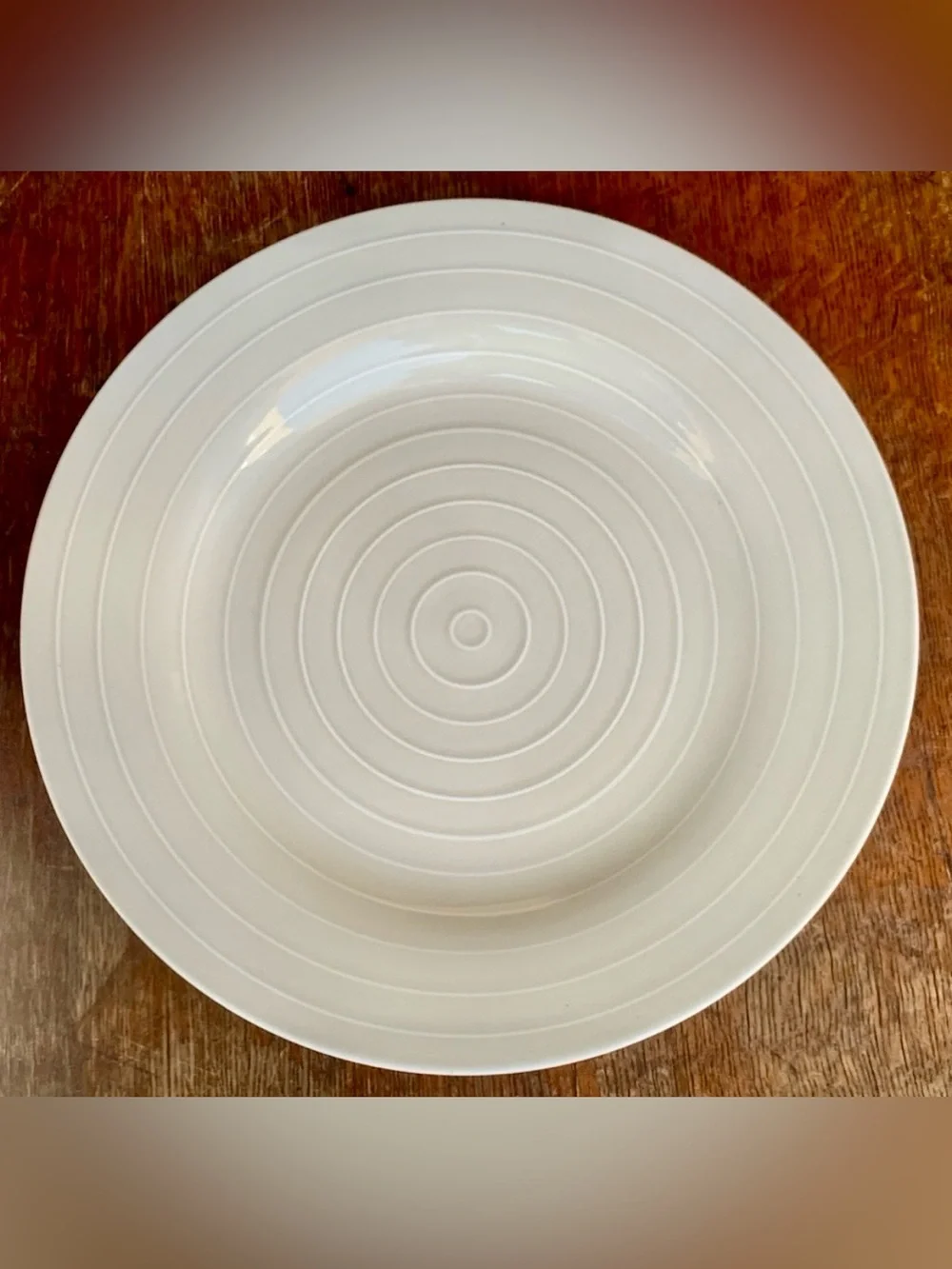 Anna Nilsson IKEA 365 Beige Taupe Concentric Ringed 12.75” Plate